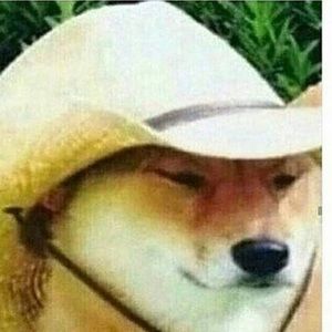 Meet your Posher, Edgar